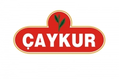 img_0_caykur